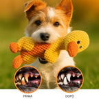 Il Pupazzo Indistruttibile per Cani