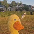 Il Pupazzo Indistruttibile per Cani